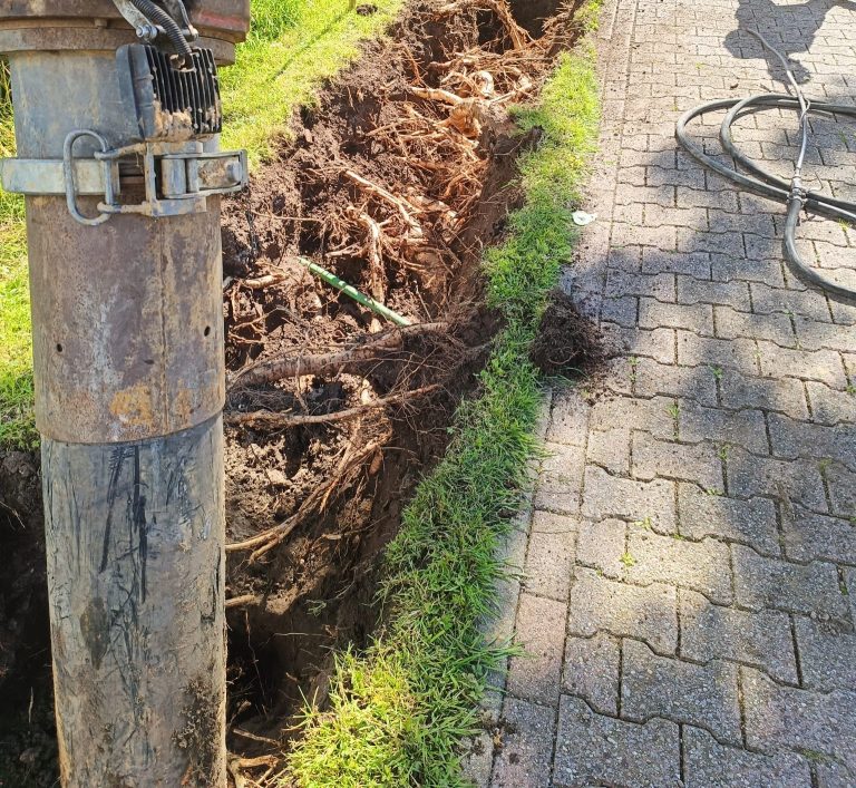 Wat kost boomwortels vrijzuigen