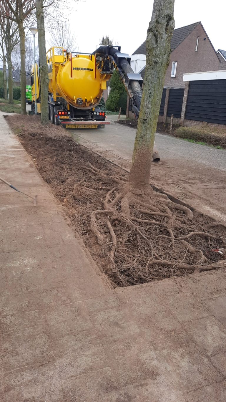 Redenen boomwortels vrijzuigen